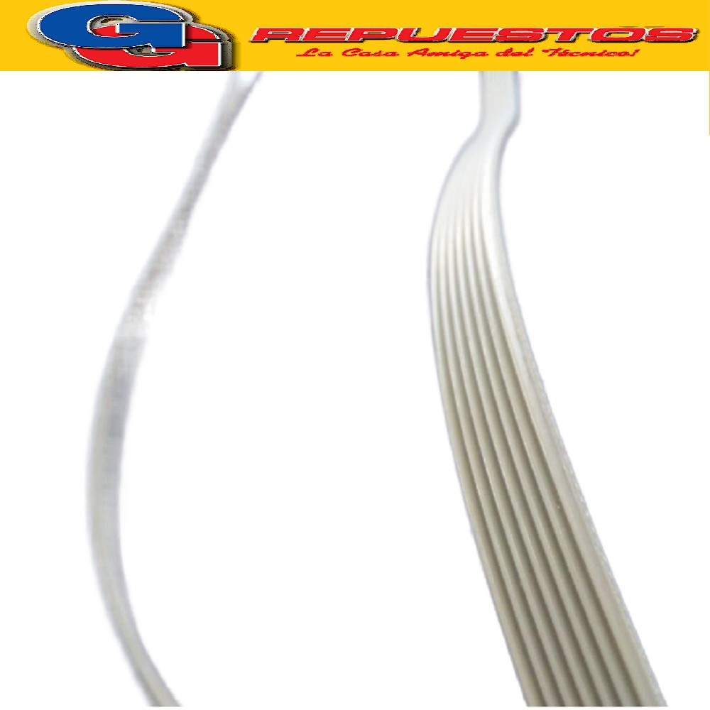 CORREA POLY-V 1231 J8 (ELASTICA) PARA CANDY-LONGVIE SMART WA SH HD  L6510 de 6.5kg/1000rpm-L6508 6.5kg/800rpm  41003164 (LONGVIE ARG.) 1231 8EPH 41003164 Es para un Lavarropas Candy GO 610.5
