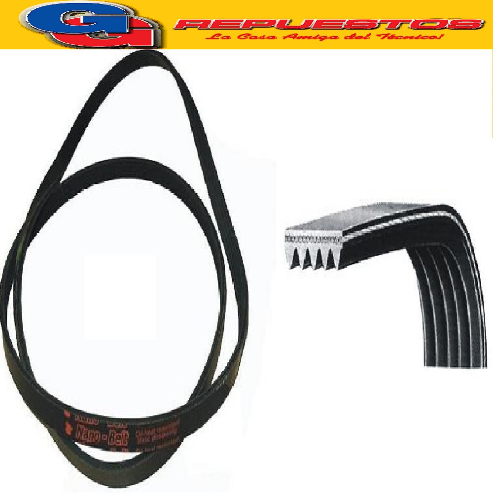 CORREA POLY V EL 7PH - 1920 ELASTICA SECARROPAS PARA ARISTON 111 - PATRICK FAGOR - SIGMA - SILTAL - GENERAL ELECTRIC 500 Note tecniche: DESARROLLO MM 1920 / NUMERO DE DIENTES: 8 / COD FABRICACION: 1920H8EL / ELASTICA SI /TEM/EL/MA Cod.Origen:269097 (MERLONI ARISTON) UNIVERSALE / 1920H8/TEM / SDR000138 (FAGOR) 8PH
481281718177 (WHIRLPOOL) 482000086373 (WHIRLPOOL)