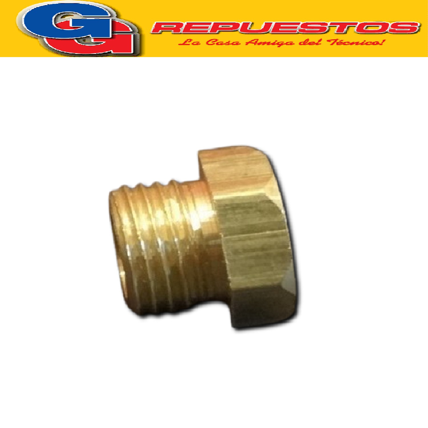 INYECTOR TERMOTANQUE ECOTERMO CORTO