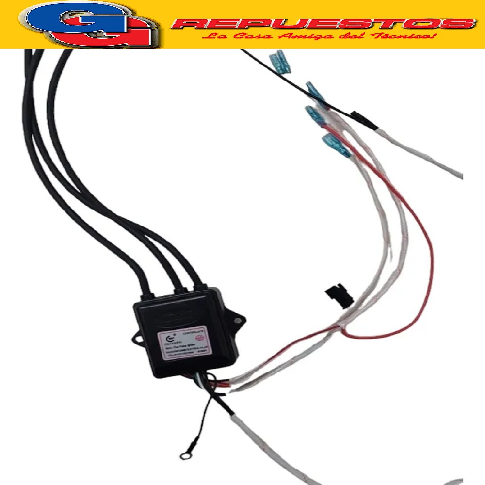 UNIDAD DE CONTROL CALEFON 14 LITROS ESCORIAL