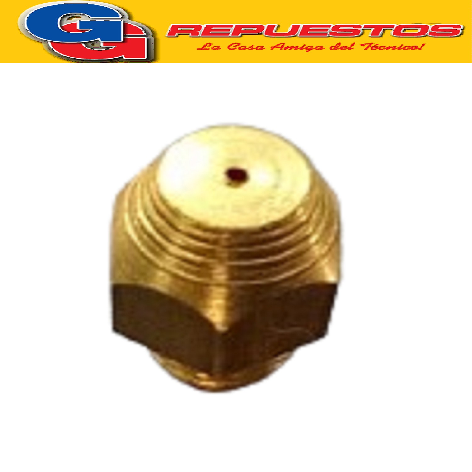 INYECTOR CALEFON COMPATIBLE CON LONGVIE SEMILLA QUEMADOR